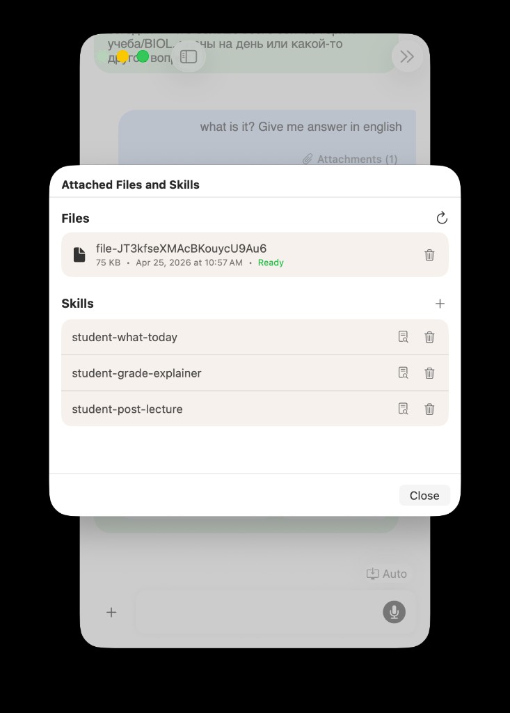Attached Files and Skills panel: skills section and files section in one chat